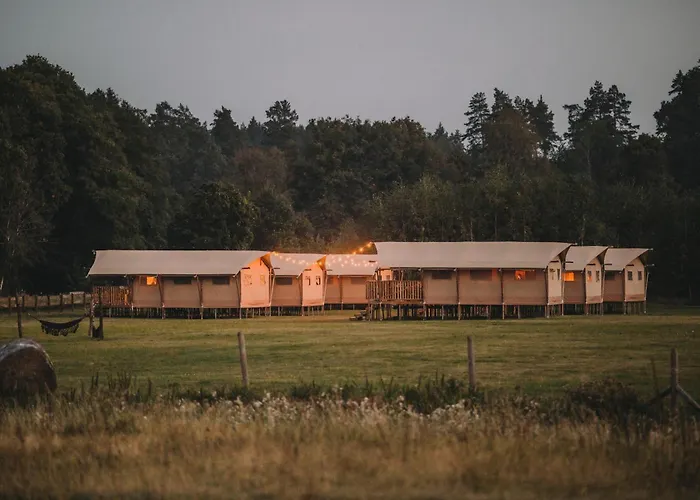 Liva Park Glamp